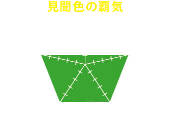 参加して得られるのは『見聞色の覇気』