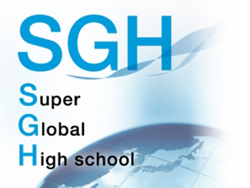 Super Global High School